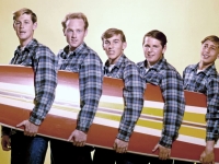 The Beach Boys